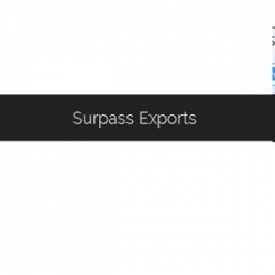 Surpass Exports