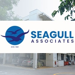 Seagull Associates