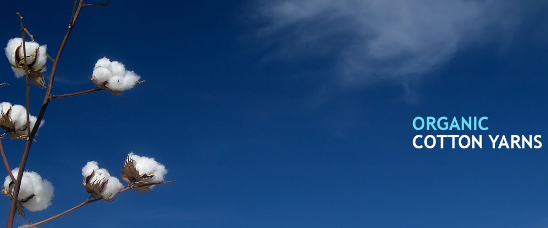 header2